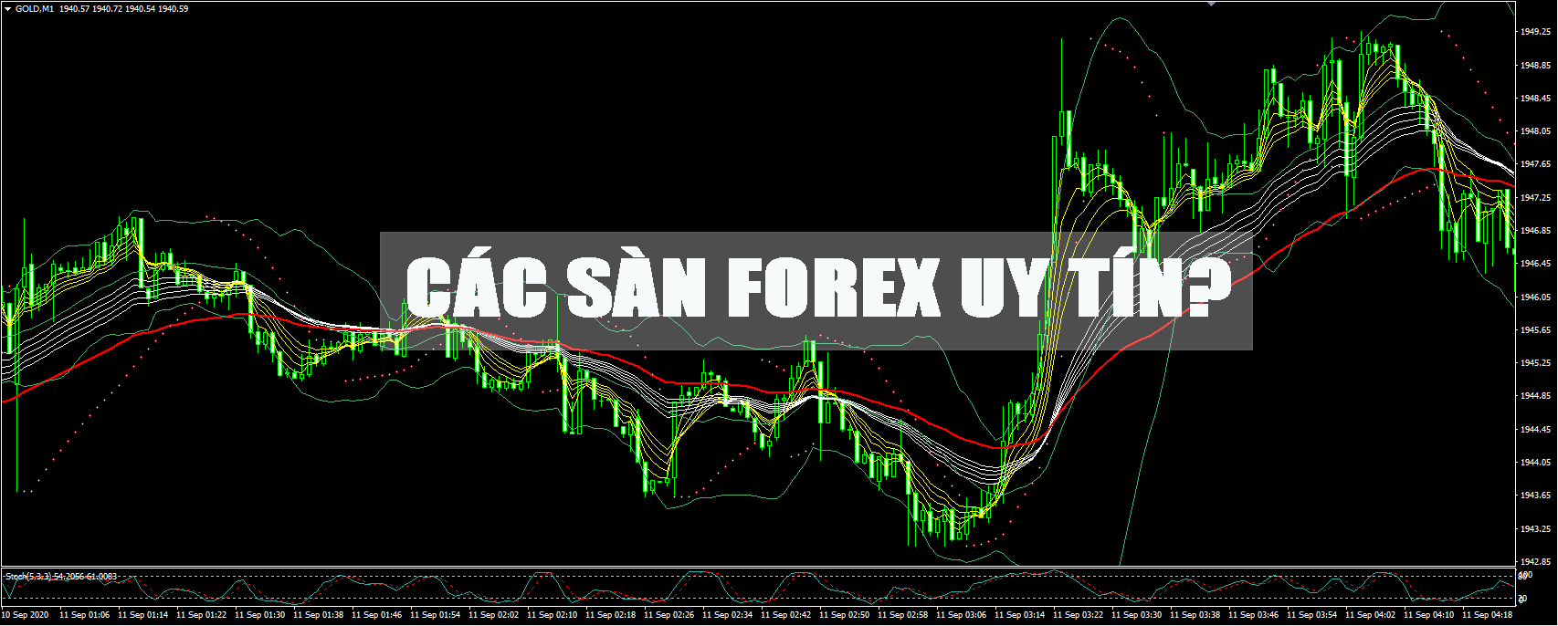 giao dịch forex ở việt nam